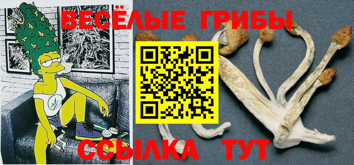 Кострома  Псилоцибиновые грибы Cubensis  Вход с VPN 